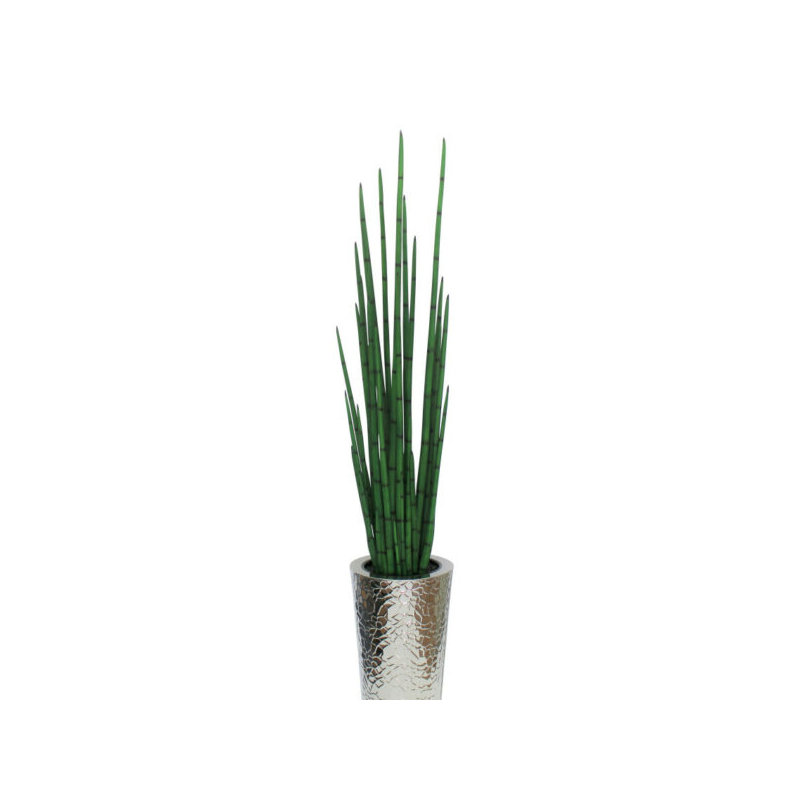 88 po Faux Snake Plant