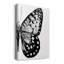 Ailes monochromes I - impression sur toile tendue-2083264895