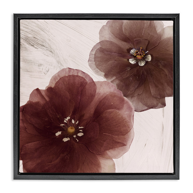 Art mural sur toile flottante, "Cocoa Butter Flower", par Annabelle Hall, H 25 po x l 25 po, Cadre flottant noir de jais