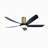 Lileah 5 - Blade LED Standard Ceiling Fan with Remote Control and Light Kit Included-1565808992