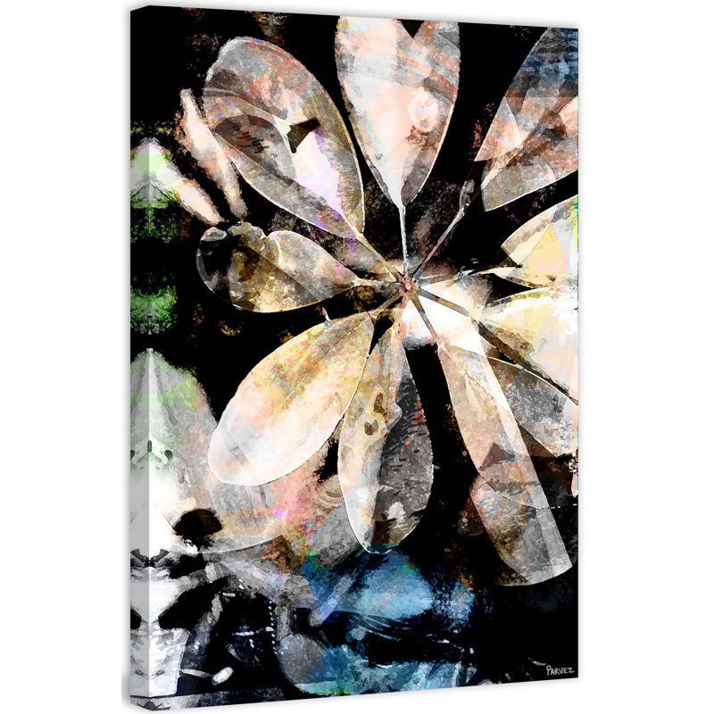 Parvez Taj - Wrapped Canvas Print, 114cm H x 76cm W