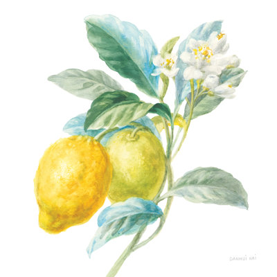 Floursack Lemon II par Danhui Nai - peinture sur toile