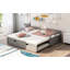 Lit de jour extensible avec couchette, lit de jour en bois avec couchette, gris-1538209443