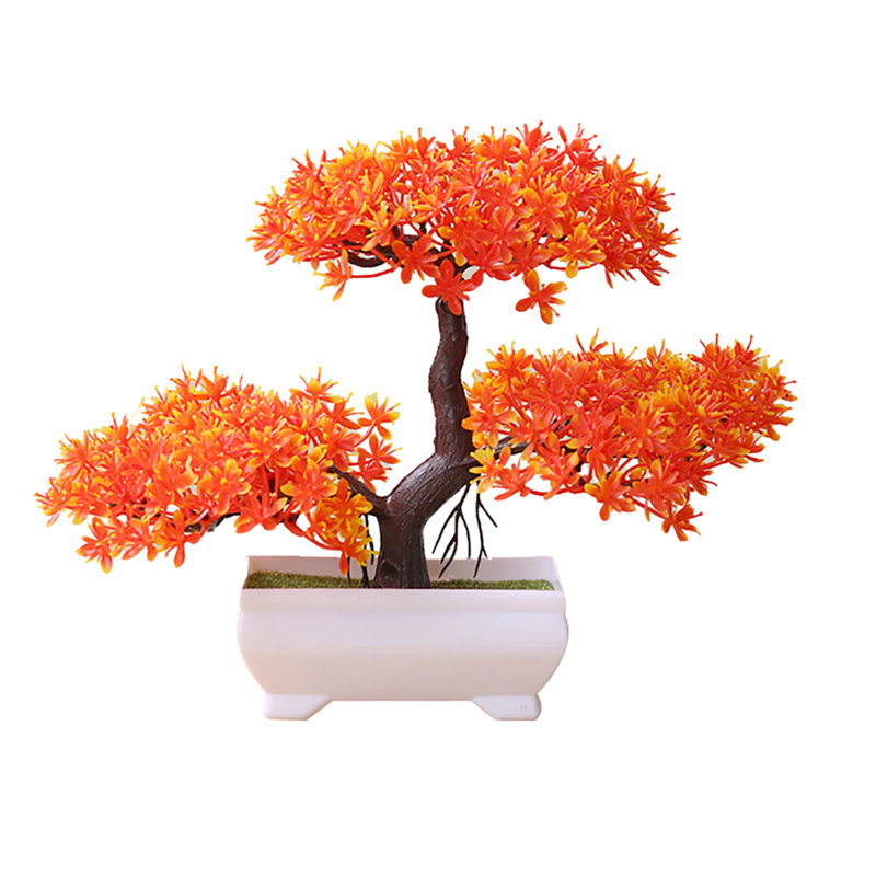 Moule à plantes léger et vif exquis dans un pot à fleurs, Rouge coucher de soleil