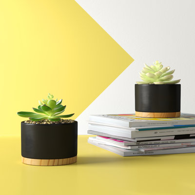 Agave artificielle 2 pièces en pot
