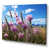 Wrapped Canvas selected