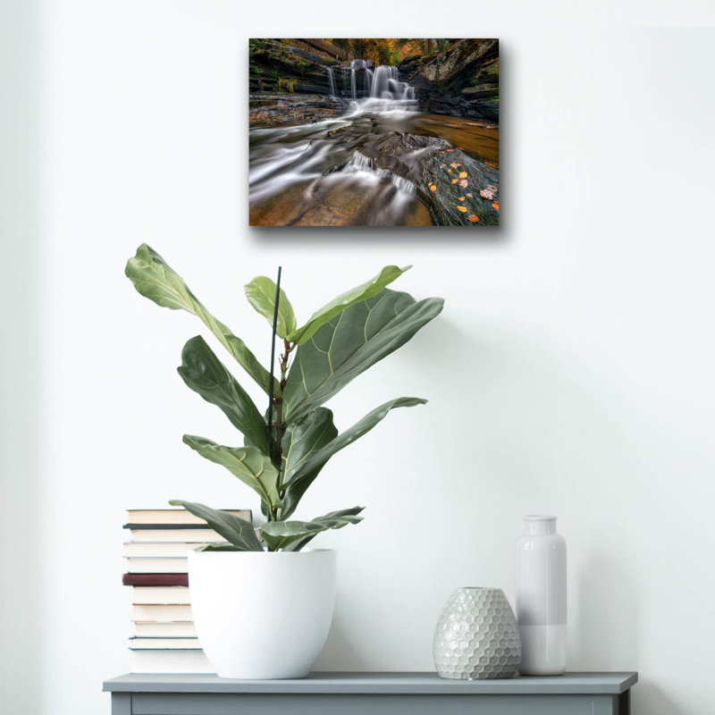 Art mural en verre Ivy Bronx «Autumn At Dunloup Creek» par Rick Berk, H 12 po x l 16 po x P 0,13 po