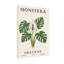 Plantes et fleurs Monstera, reproduction d'art avec feuilles et fleurs tropicales-1445608105
