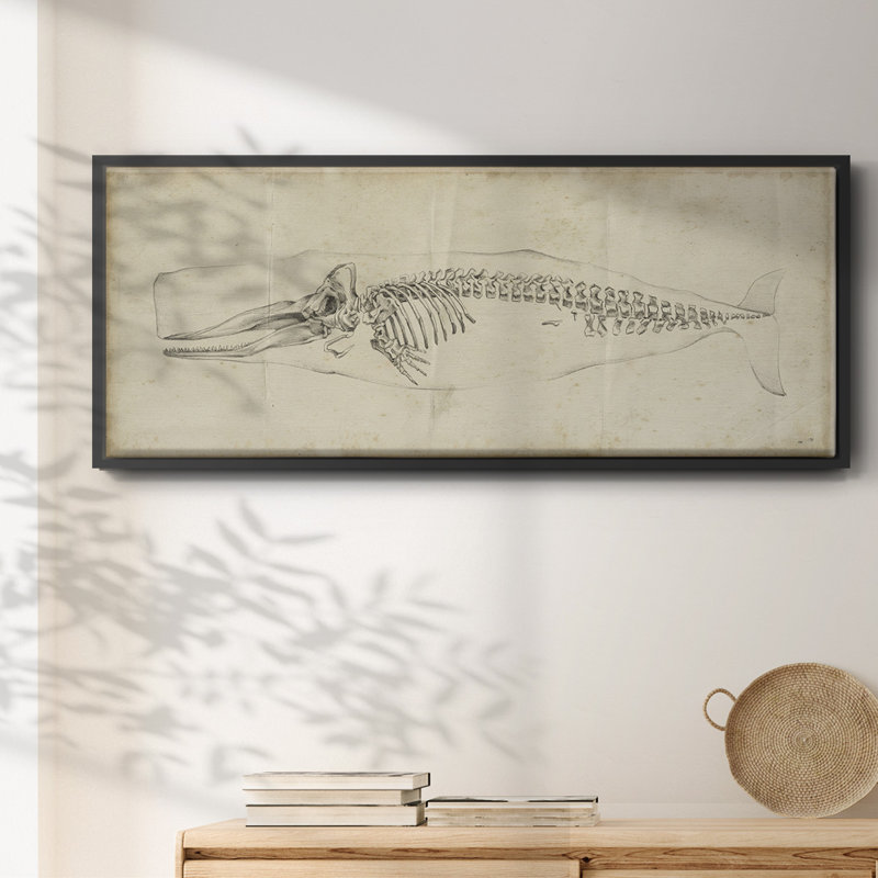 Whale Study II - toile encadrée, H 8 po x l 20 po