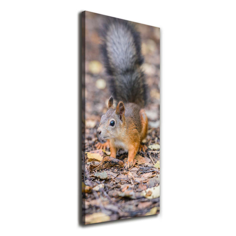 Squirrel In The Forest - Wrapped Canvas Print