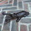 Pilger Non-Slip Outdoor Doormat
