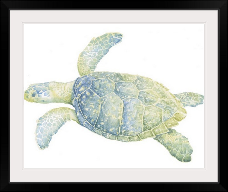 « ii » megan meagher, reproduction d’art Tranquil Sea Turtle, H 27 po x l 32 po x P 1 po, Cadre noir