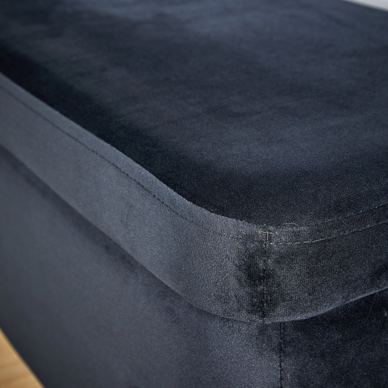 Avdain 110cm Wide Velvet Rectangle No Pattern Standard Ottoman with Storage, Black