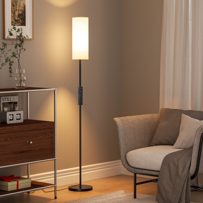 Kingsteignt 64'' Stepless Dimmable Floor Lamp with Remote Control