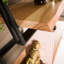 Hajar 3 Piece Rectangular Bracket Shelf