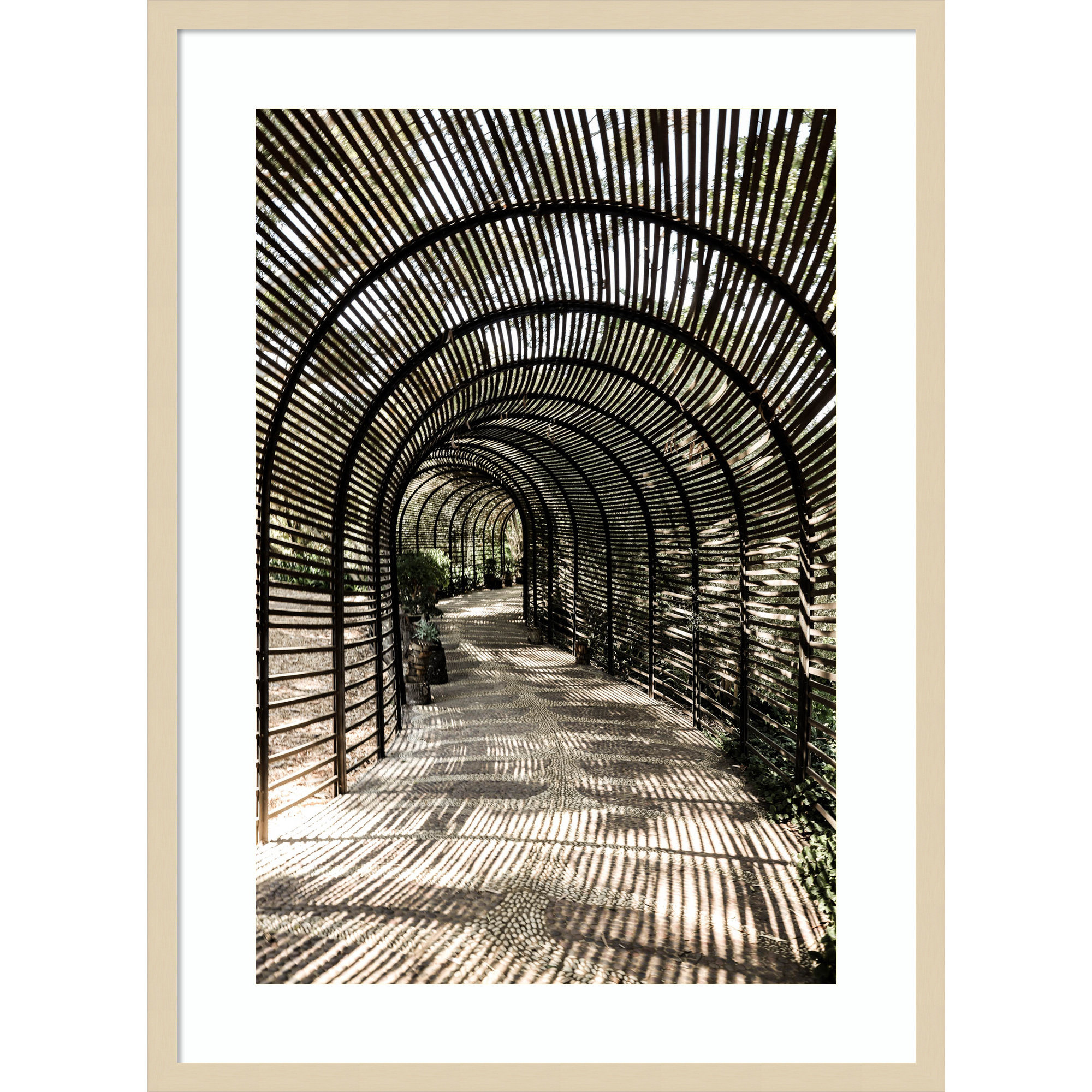 Shadow Garden by Shot by Clint Wood Framed Wall Art Print, 33" H x 24" W, Brown 