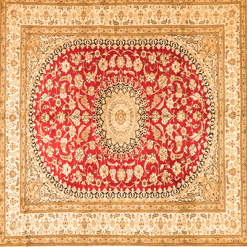Babrak Performance Floral Indoor Rug, Square 3'