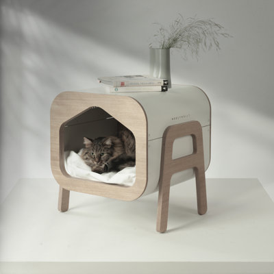 Dog House
