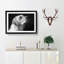 Labrador Dog in Abstract - Picture Frame Graphic Art Print-55765604-55765601