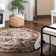 Charlotte Oriental Indoor Rug