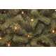 Dwayne Artificial Fir Christmas Tree with Clear Lights