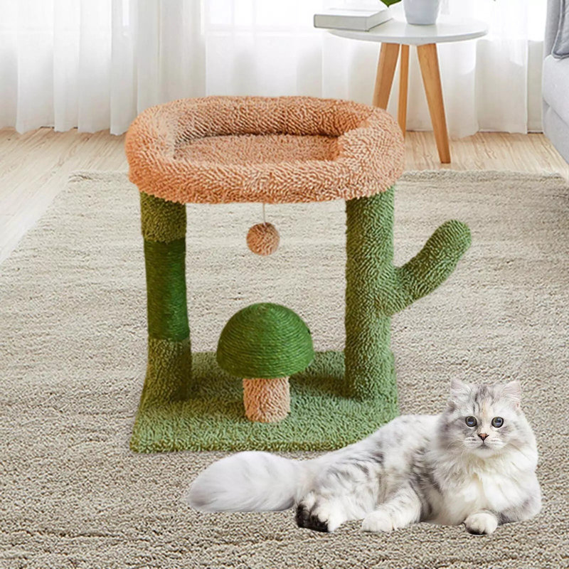 Maison pour chat avec arbres d'escalade