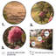 Rhododendron en fleurs à la ferme II-1332847254-1332847253