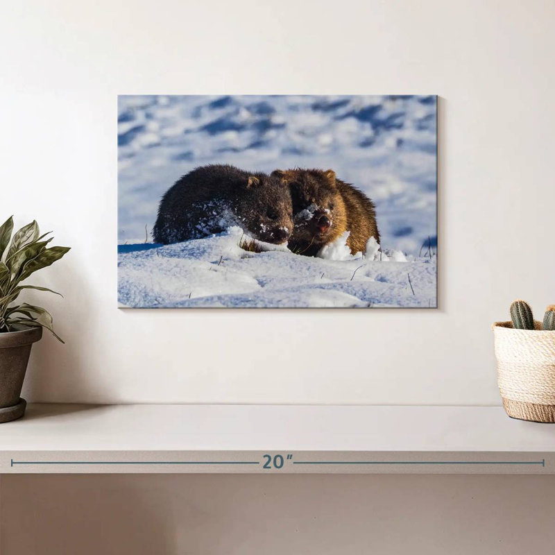 Winter Wombats, 8" H x 12" W