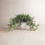 Tradescantia Zebrina Arranged In Ceramic Vase-1331091546-1281163198