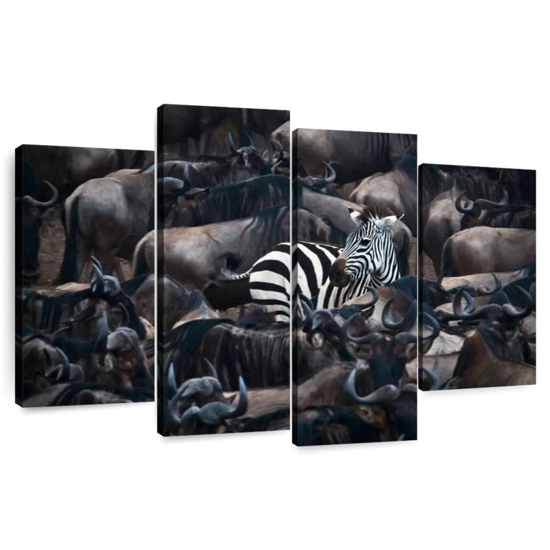 Brampt Zebra Among Wildebeests