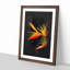 Orange & Red Bird of Paradise - Picture Frame Graphic Art Print-56857105-56857111