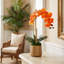 Orchid Arrangement In Round Pot With Orchid Leaves