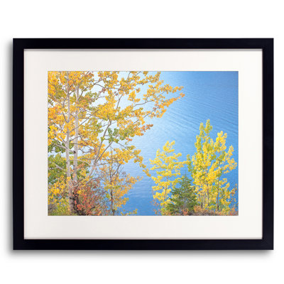 Swan Valley Autumn Portrait # 6 par Bruce Heinemann - photographie de cadre
