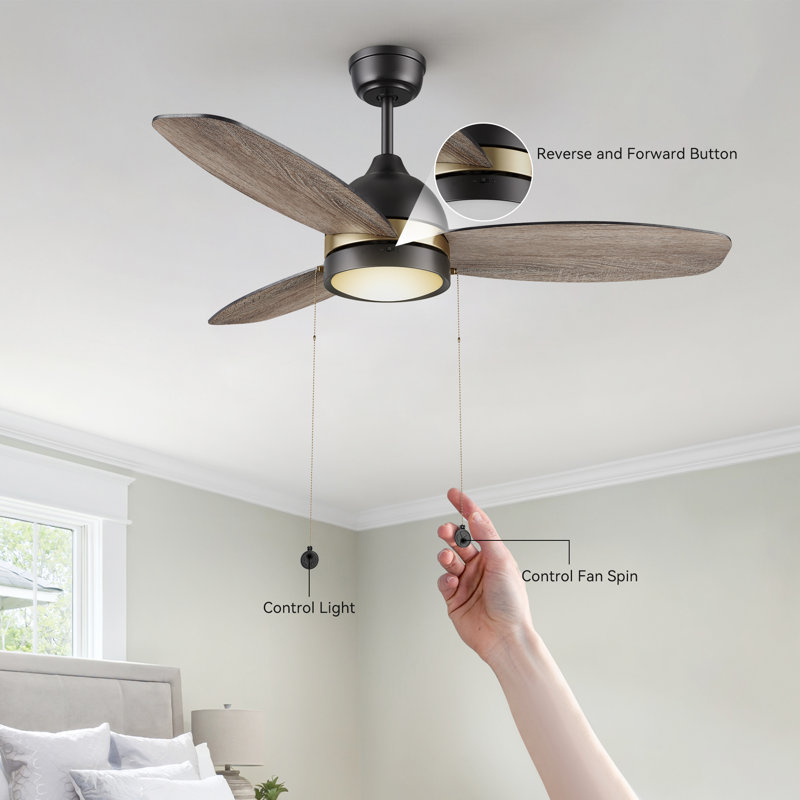 Ventilateur de plafond standard 52 po à 3 pales 52 po avec chaînette et ensemble d'éclairage inclus Elisabete