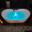 72" x 35.4" Whirlpool Water Jetted & Air Bubble Heated Soaking Combination Bathtub with Tub Filler-101084702