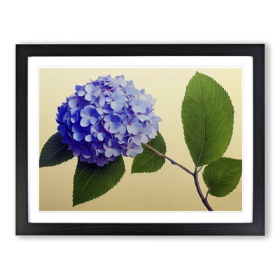 Hydrangea Flowers Vol.3 - Single Picture Frame Print