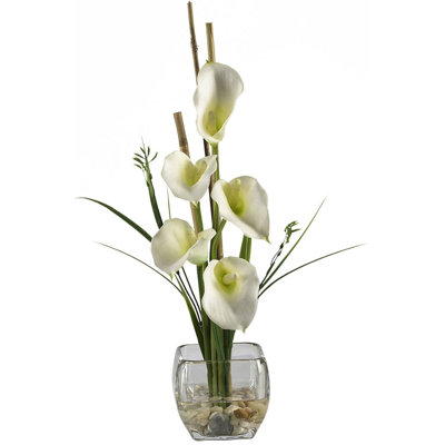 Calla lis illusion liquide avec crème cube