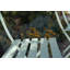 Bistro Outdoor-968003810-939974077