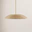 Luminaire suspendu Evonna Jeffon