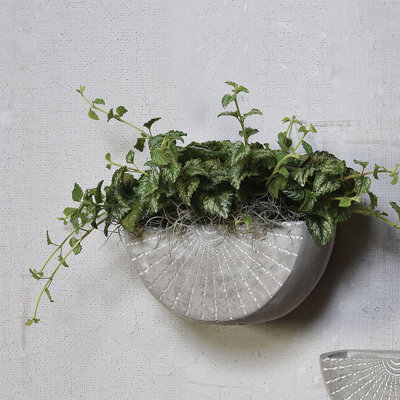 Mathison Half-Circle Cement Wall Planter 