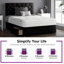 Hatmaker Divan Bed Base-1450076012-1346683332-1346683333