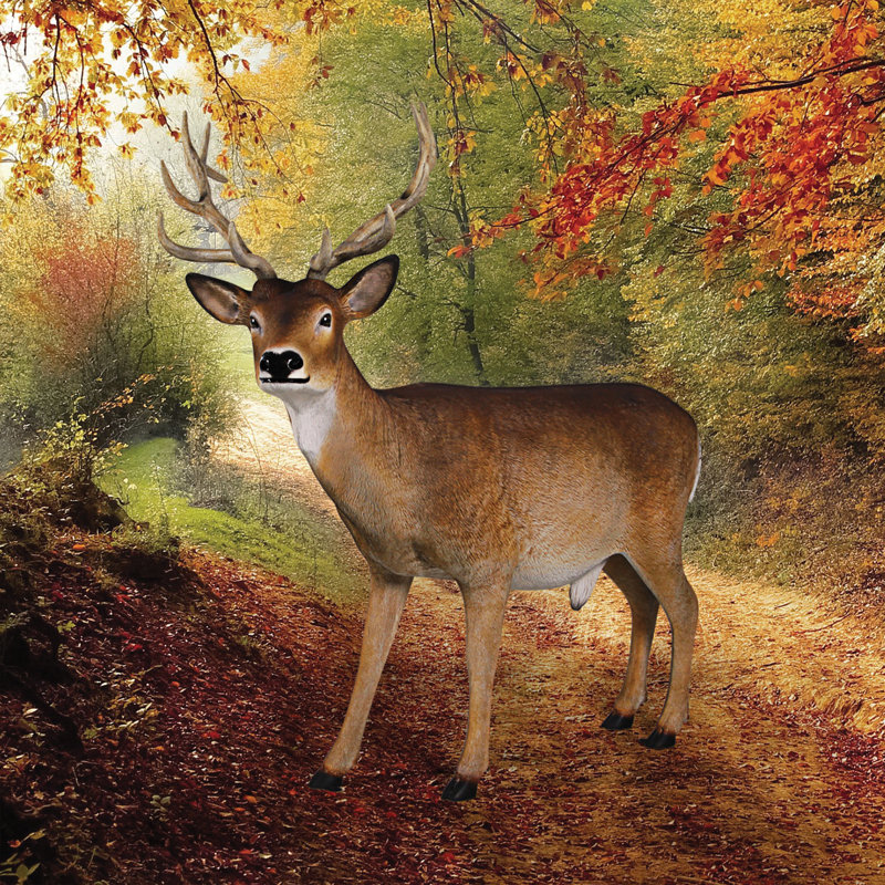 Statue cerf à queue masculine pour forêt