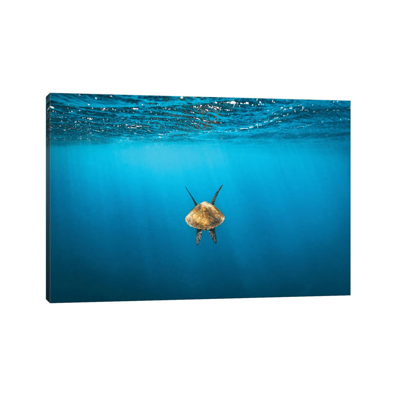 Following Golden Turtle Underwater by James Vodicka - Wrapped Canvas Gallery-Wrapped Canvas Giclée, 66.04cm H x 101.6cm W
