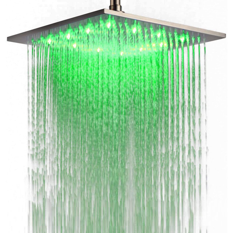 Pomme de douche à pluie réglable 2,5 GPM GPM avec autonettoyant