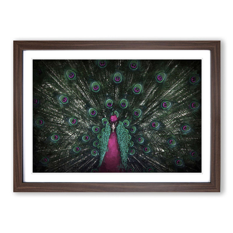 Mesmerising Pink & Green Peacock - Picture Frame Graphic Art Print on MDF, 27cm H x 36cm W x 2cm D, Walnut Framed