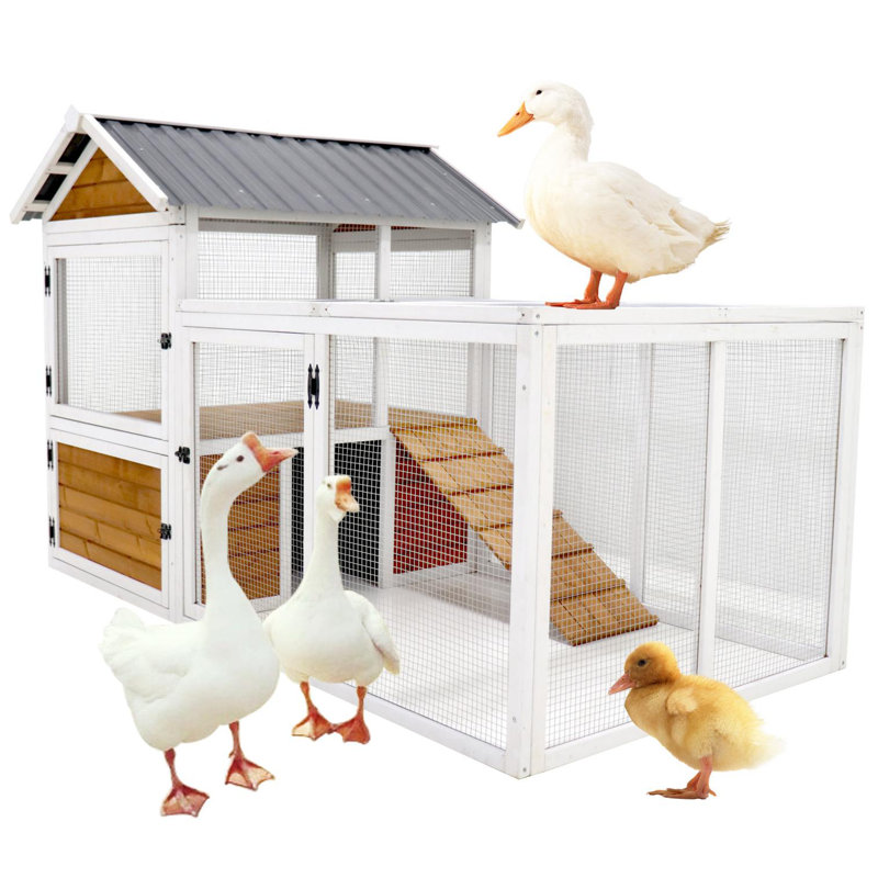 Grand poulailler extérieur en bois, poulailler avec nichoir, cage à lapin