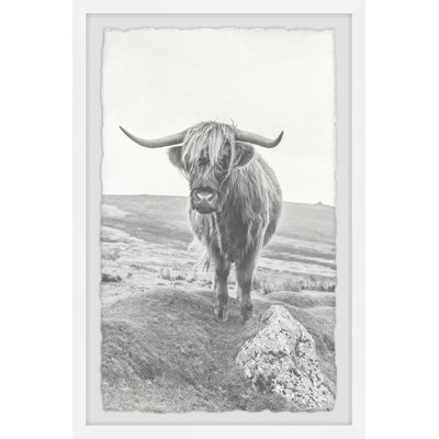 Marmont Hill - Single Picture Frame Print