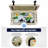 Creationstry 310 Quarts Ice Chest-99221179