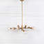 Pellman 18 - Light Chandelier-1276355644