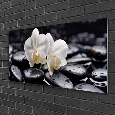 Art Flower Stones 1 Piece Wall Art on Glass